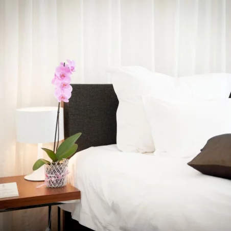 Lighthouse Golf and Spa Hotel_4