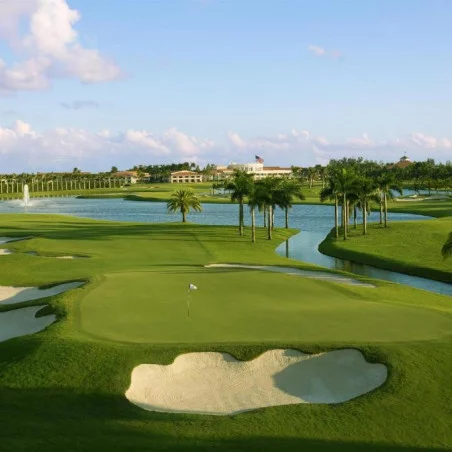 Trump National Doral Miami image 5
