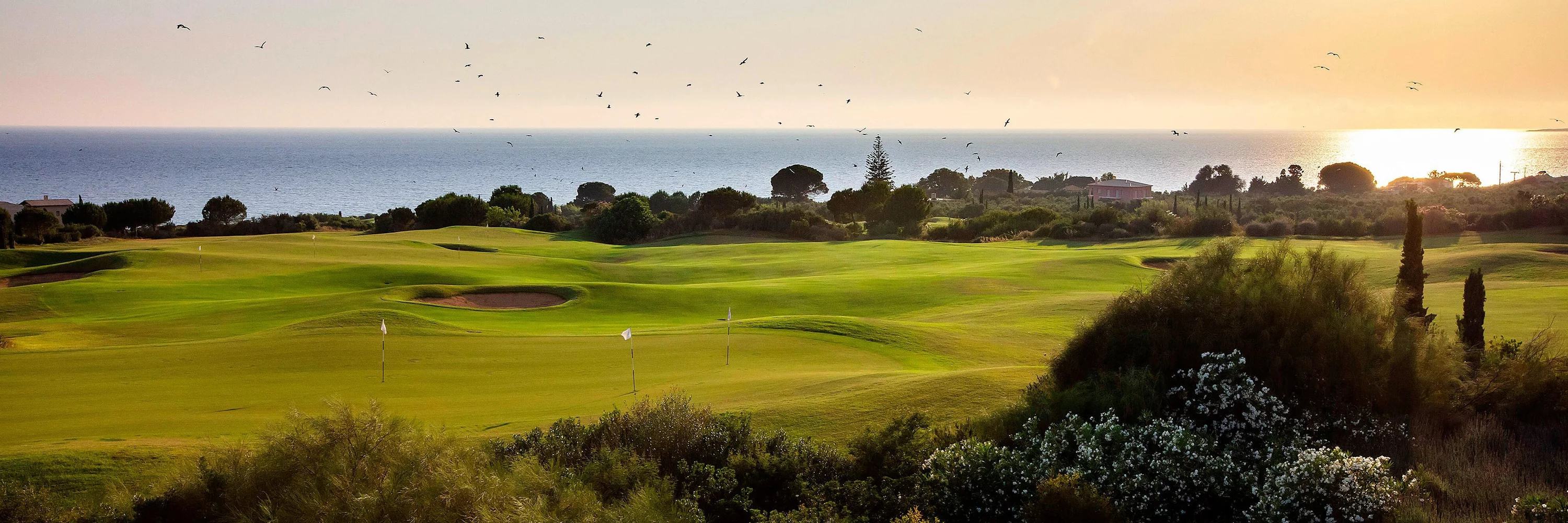 5* Westin Costa Navarino (Grèce) - Séjour 8 Jrs 7 Nts - Stage 5 Jrs avec Lionel Berard