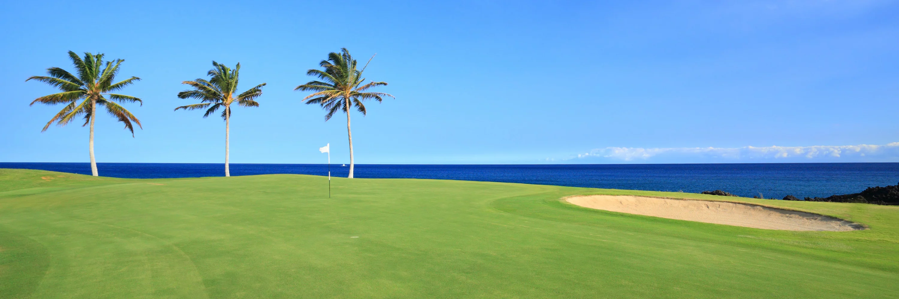 The Denarau Golf Club