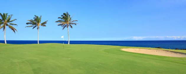 The Denarau Golf Club