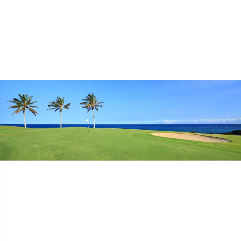 The Denarau Golf Club