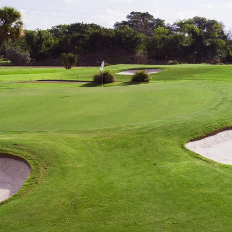 Miami Shores Country Club image 2