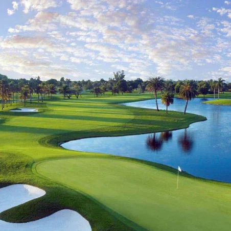 Miami Shores Country Club image 1