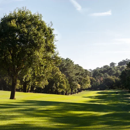 Golf International d'Arcachon image 5