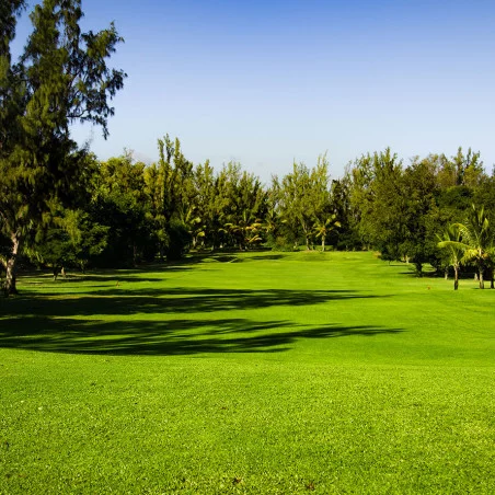 Golf de Bourbon image 5