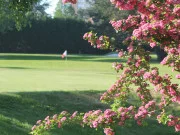 Golf Club de Valenciennes