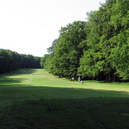Golf du Bois de Ruminghem image 2