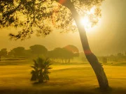 Mountain Ridge Golf Course