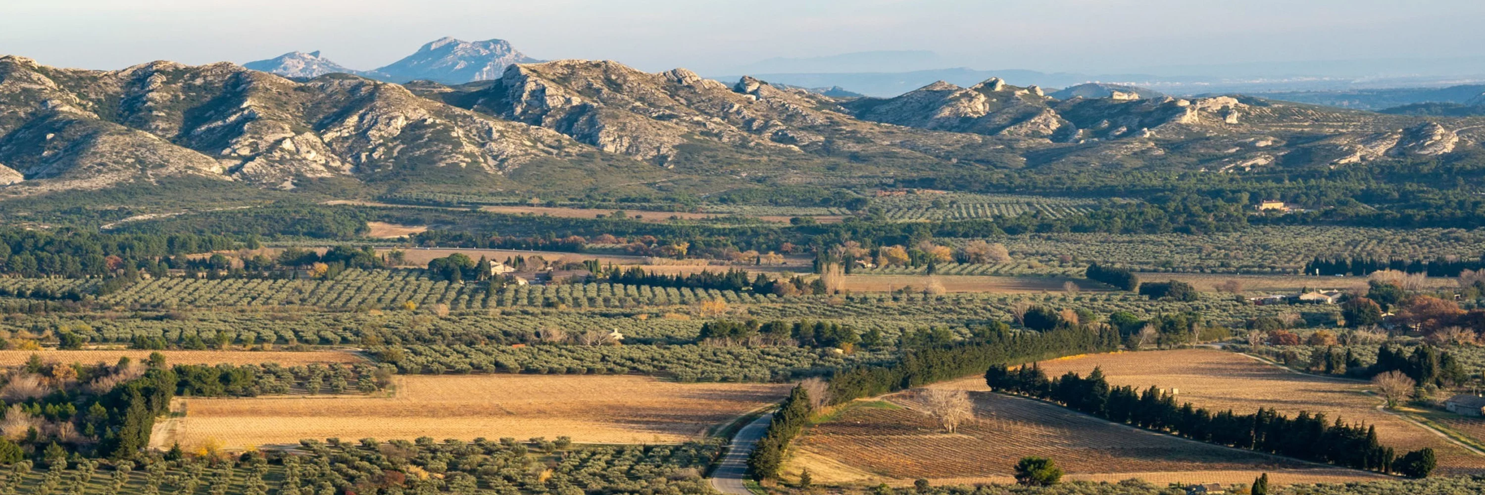 Du Côté des Olivades