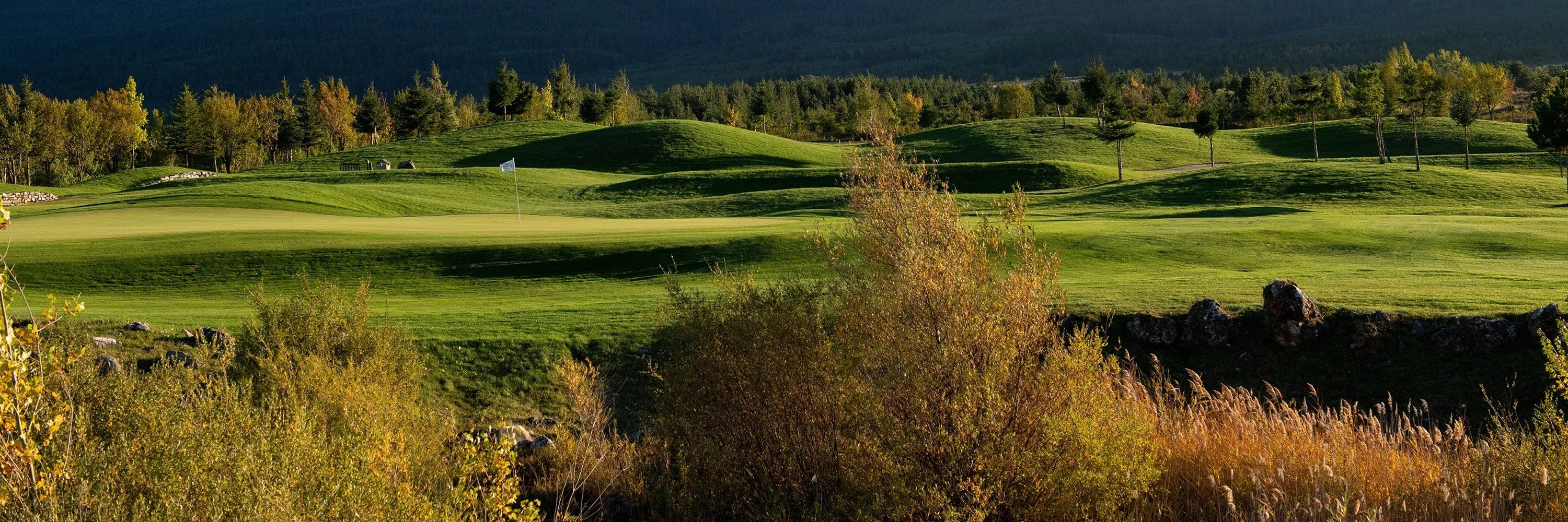 Pirin Golf Hotel & SPA