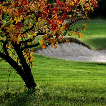 Golf Club Aix-Marseille image 3