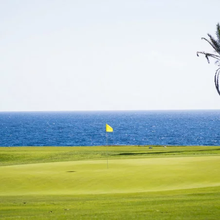 Amarilla Golf image 4