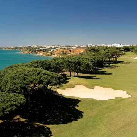 Pine Cliffs Golf Course image 3