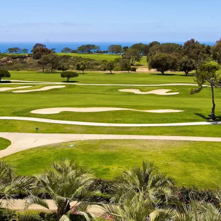 Pine Cliffs Hotel, a Luxury Collection Resort image 3