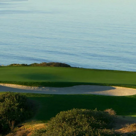 Pine Cliffs Hotel, a Luxury Collection Resort image 5