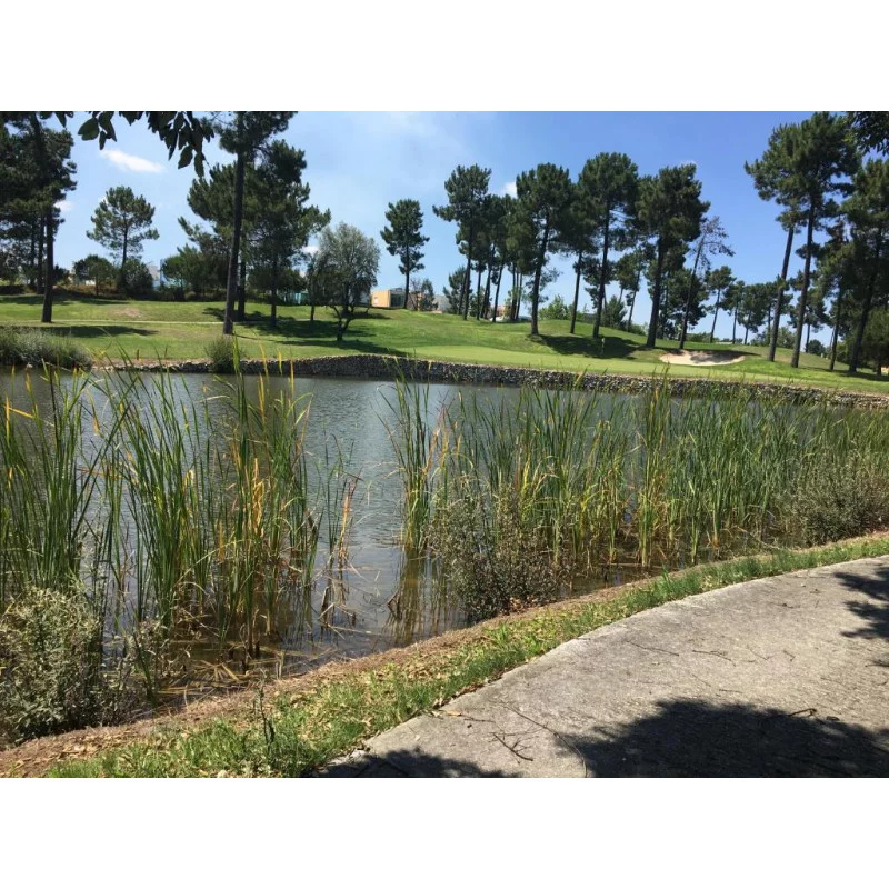 Palmela Village Golf Course