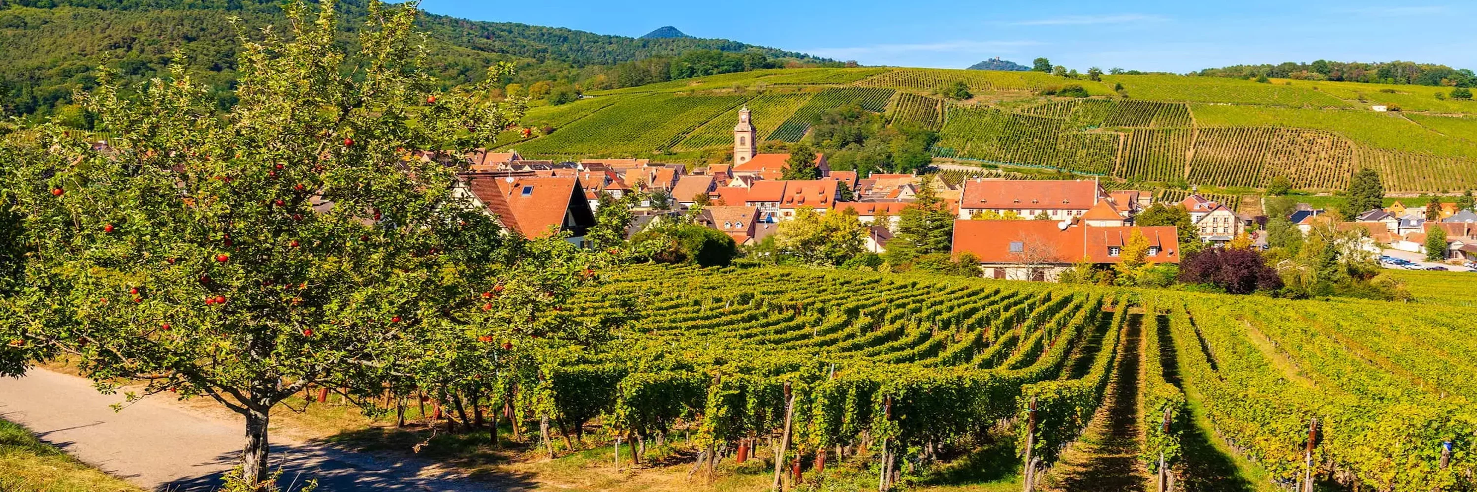 Hotel KLE, BW Signature Collection