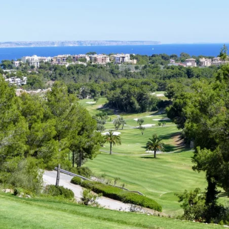 Real Golf de Bendinat image 4