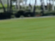 T Golf Palma Puntiro