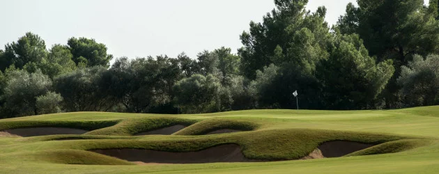 T Golf Palma Puntiro