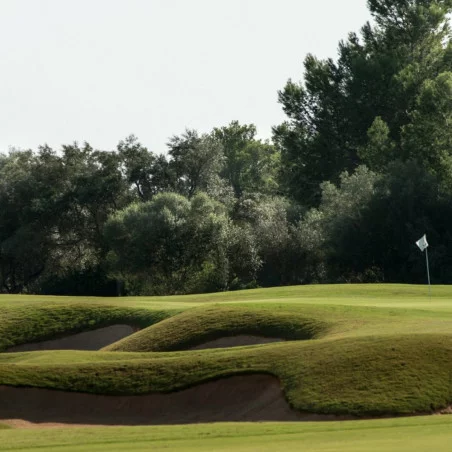 T Golf Palma Puntiro