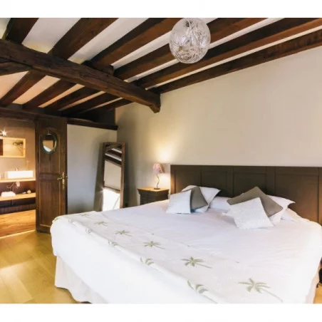 Château Les Dryades_4