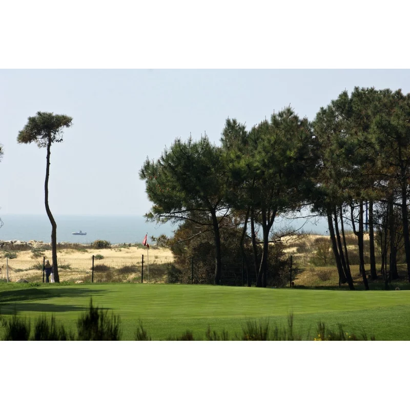 La Palmyre Golf links