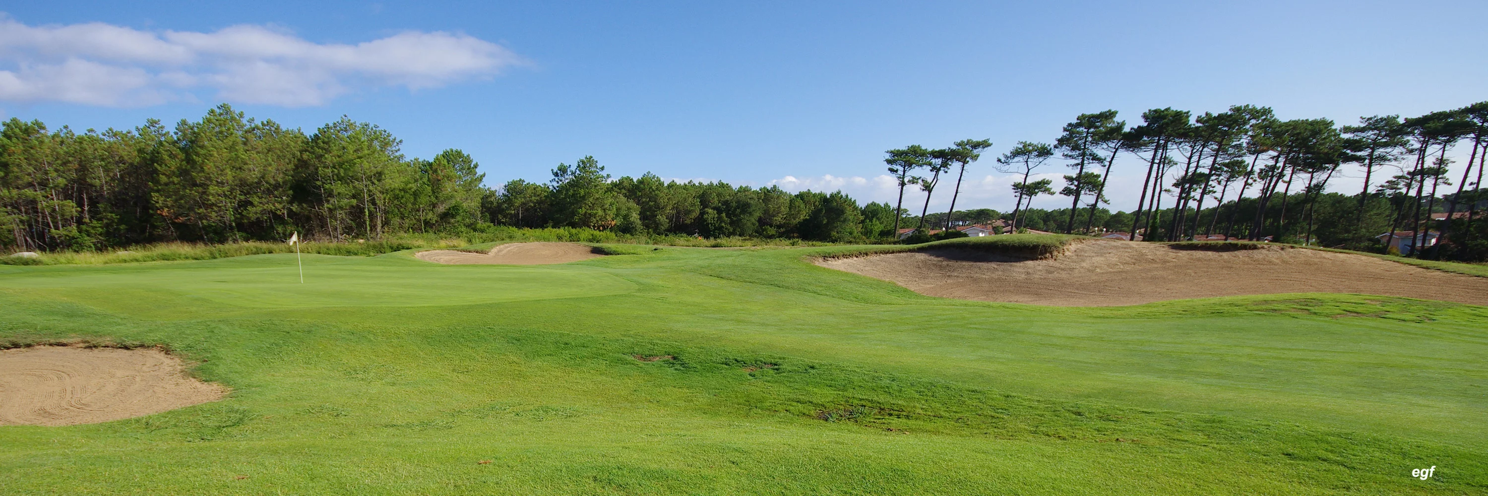 La Clairière aux Chevreuils