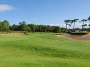 La Clairière aux Chevreuils