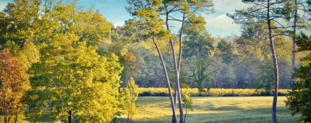 Grand Saint-Emilionnais Golf Club