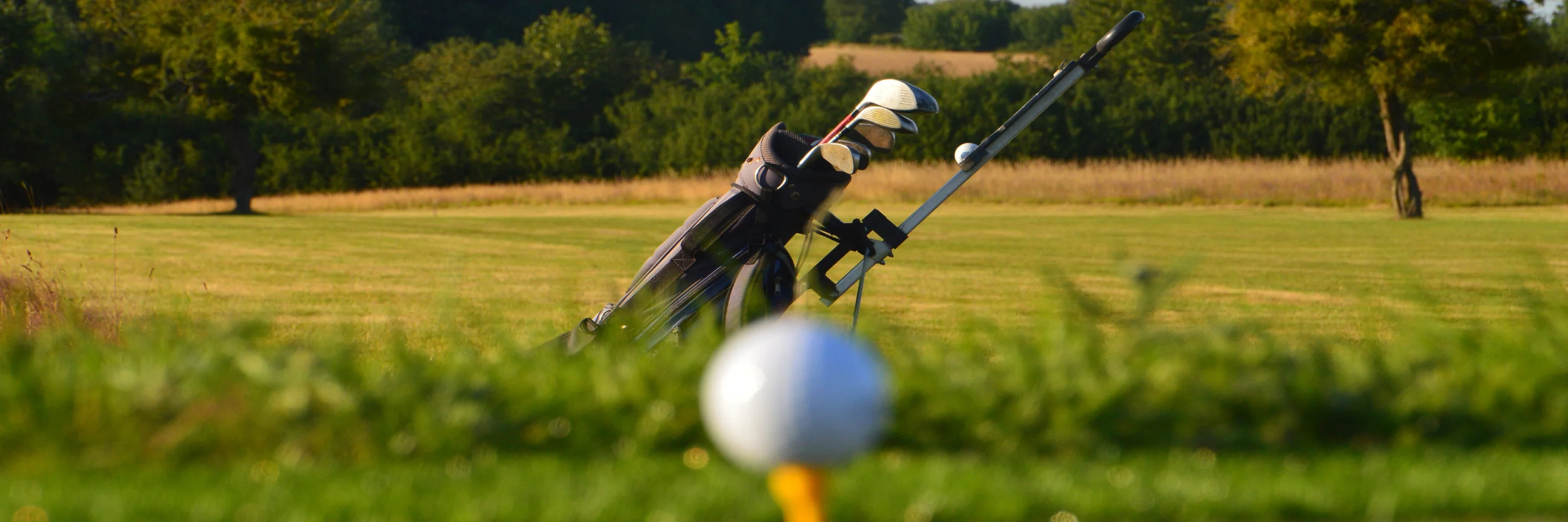 Golf de Fleuray-Amboise