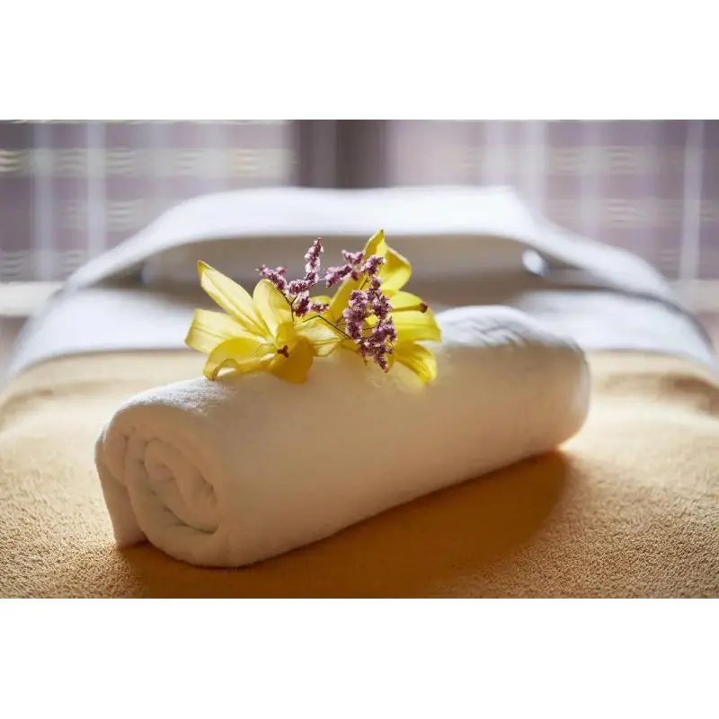 Suites Natura Mas Tapiolas_0