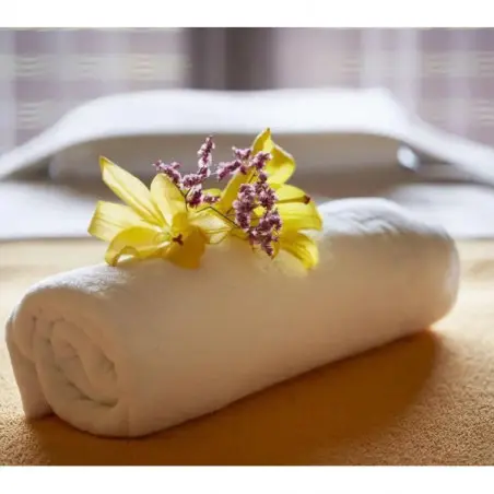 Suites Natura Mas Tapiolas_0