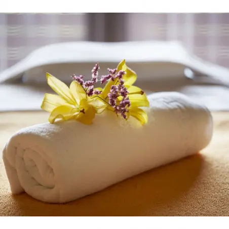 Suites Natura Mas Tapiolas_0