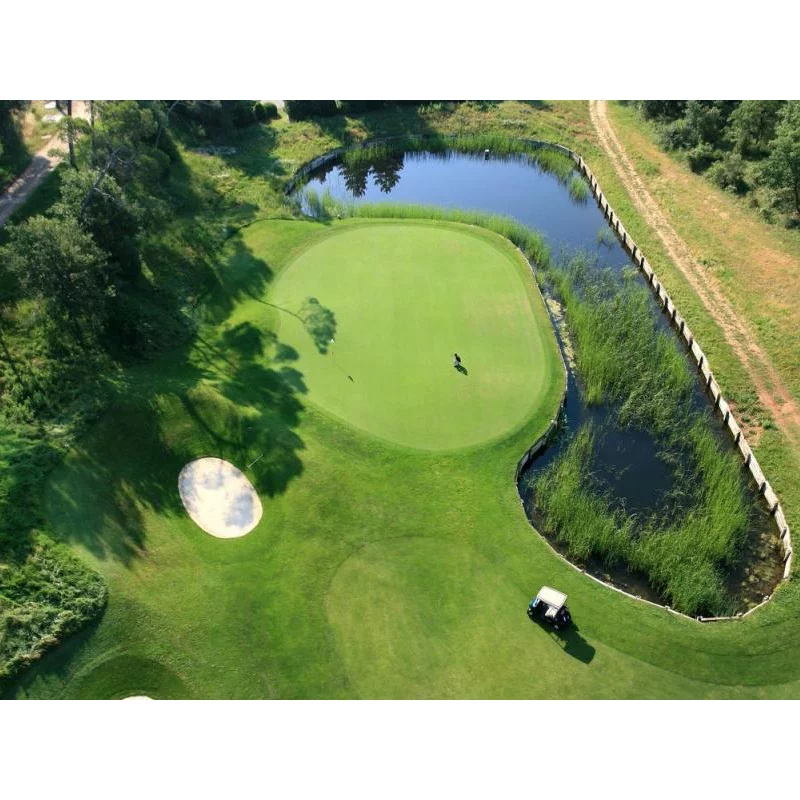 Golf Provence Verte (83) - Stage carte verte intensif de 5 jours / 25 heures avec la méthode MRP GOLF®