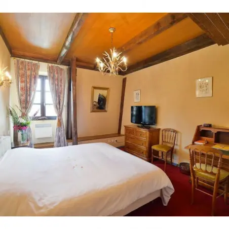 Château de Salles_2