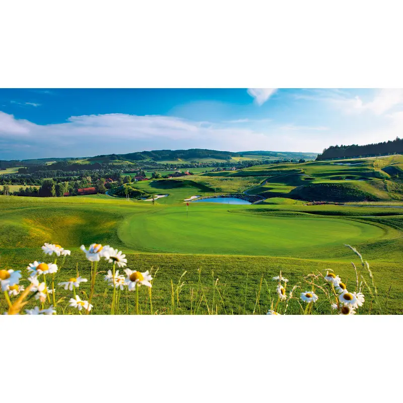 Golf Kurzplatz Quellenhof