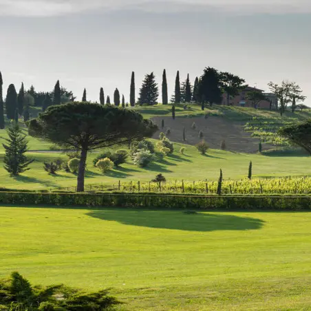 Golf & Country Club Castello Di Spessa image 5