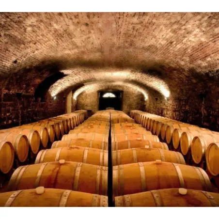 Appartamenti nelle Vigne_11