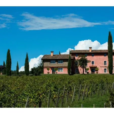 Appartamenti nelle Vigne_14