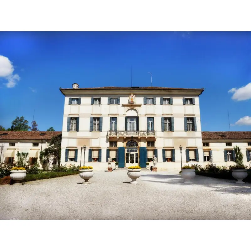 Hotel Villa Condulmer_0