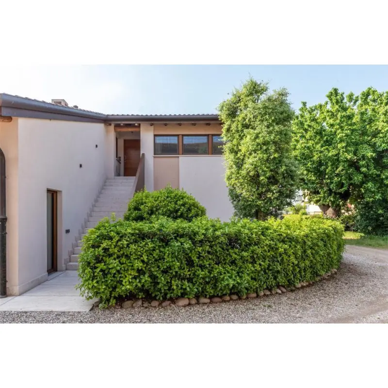 Agriturismo Cà Giulietta_0