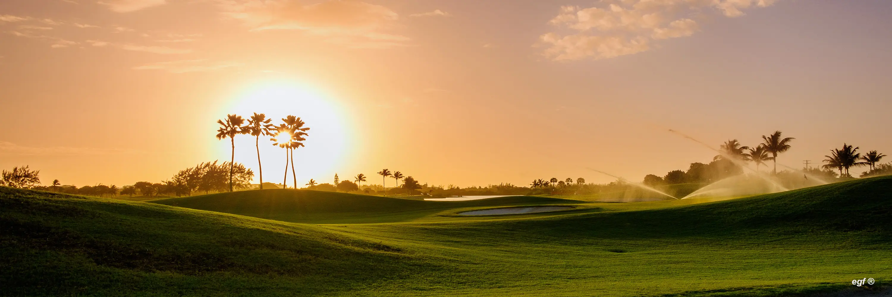 Rotana Palmeraie Golf Club