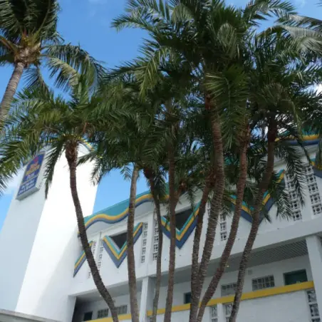Palm Tree Club Miami Hotel_0