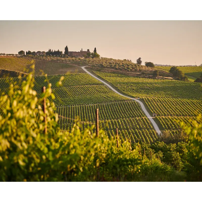 Séminaire & Team Building sur un parcours de golf en Toscane
