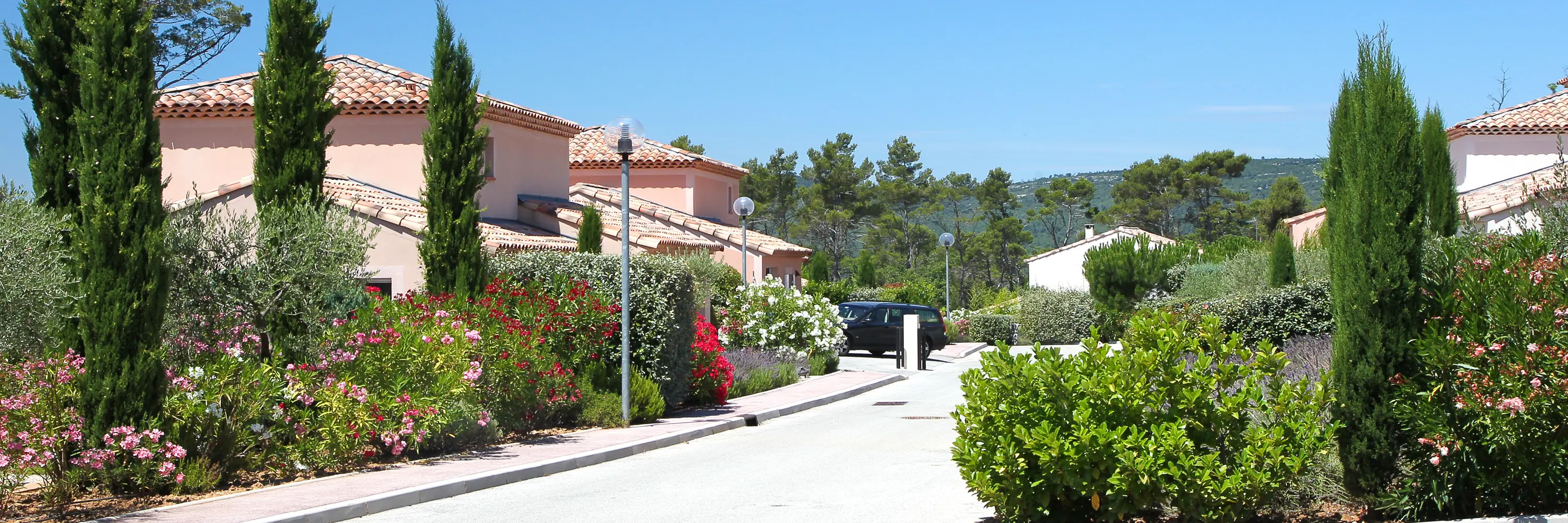 La Vallee de la Sainte Baume