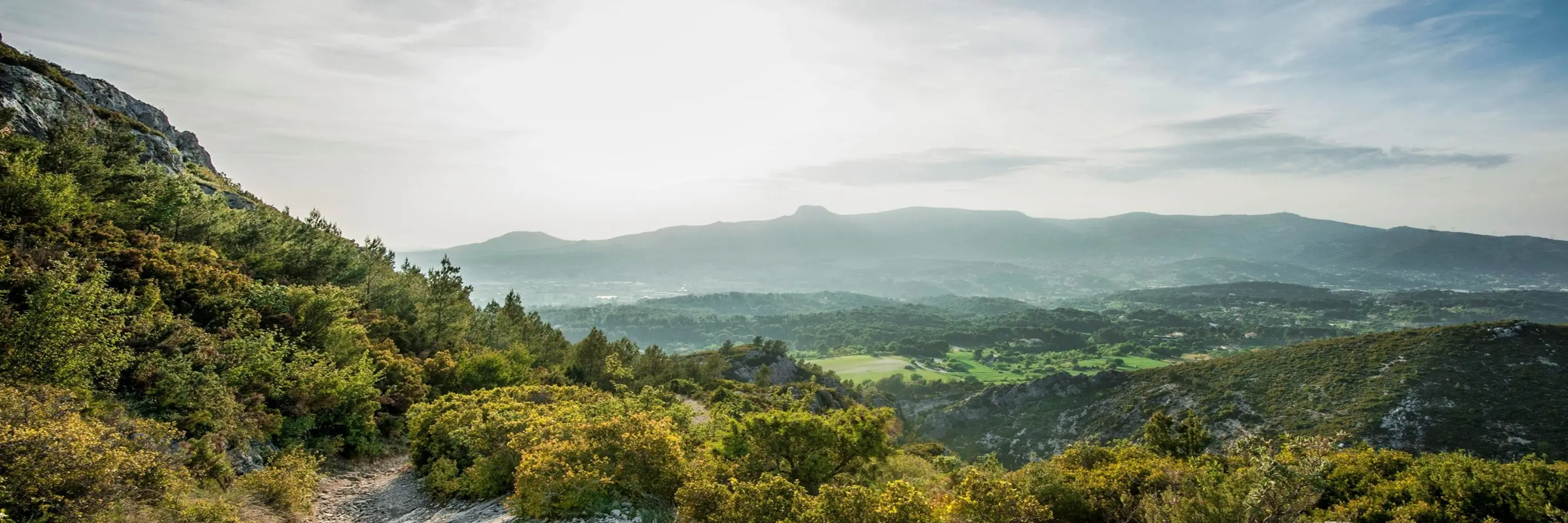 La Vallee de la Sainte Baume