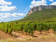 L'Ostal du Pic St Loup