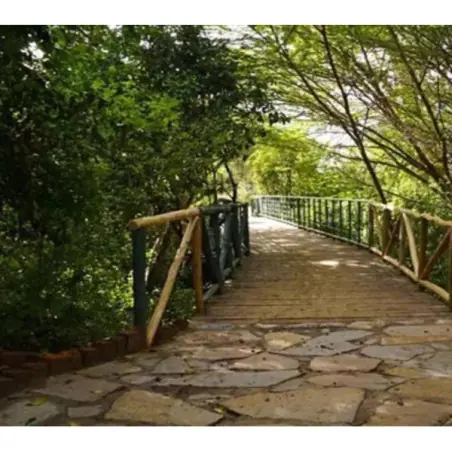 PrideInn Mara Camp_4